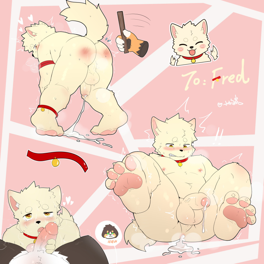 1:1 Rule 34 Image