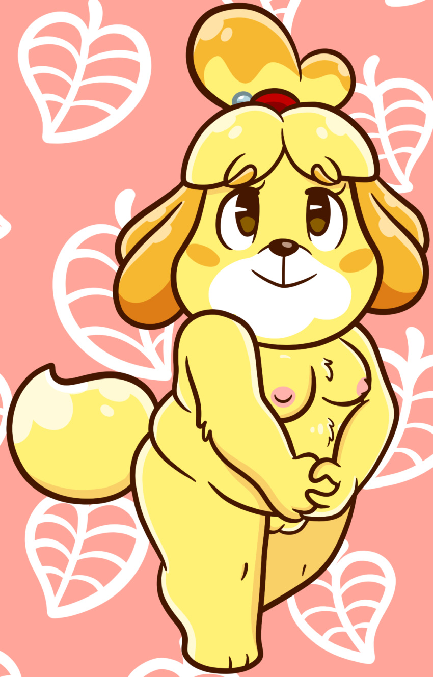 2021 accessory animal_crossing anthro areola breasts canid canine canis chubby_female domestic_dog female genitals hair_accessory hair_tie hair_tied hi_res isabelle_(animal_crossing) mammal nintendo nipples nude pussy shih_tzu sinribbons slightly_chubby solo toy_dog video_games