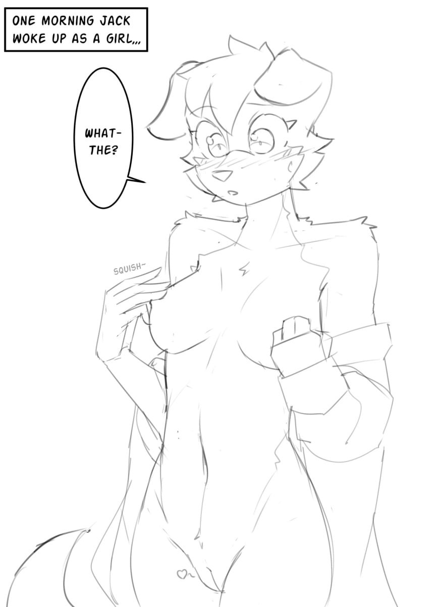 Jack (Beastars) Rule 34 Image