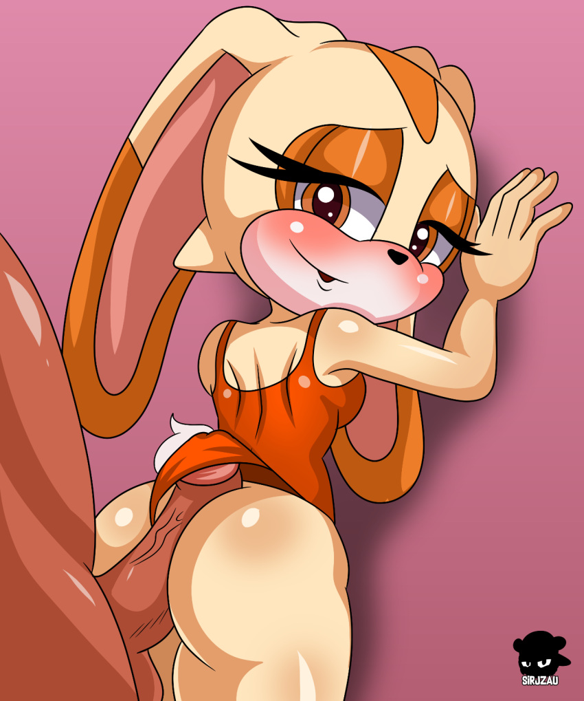 anthro ass big_butt big_penis breasts clothing cream_the_rabbit dat_ass duo female fur genitals half-closed_eyes hi_res hot_dogging human humanoid lagomorph leporid looking_at_another looking_down male male/female mammal narrowed_eyes one-piece_swimsuit orange_swimsuit partial_male penis rabbit sega sirjzau size_difference small_breasts smaller_female sonic_(series) sonic_the_hedgehog_(series) swimsuit swimwear tan_body tan_fur