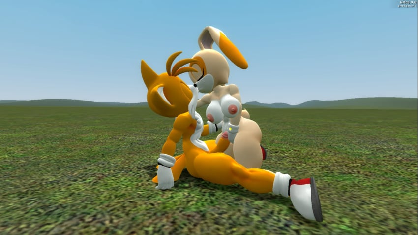 1boy 1girls 3d big_ass big_balls big_breasts big_penis cream_the_rabbit garry's_mod making_love making_out nude sonic_(series) sonic_the_hedgehog_(series) straight tails_the_fox