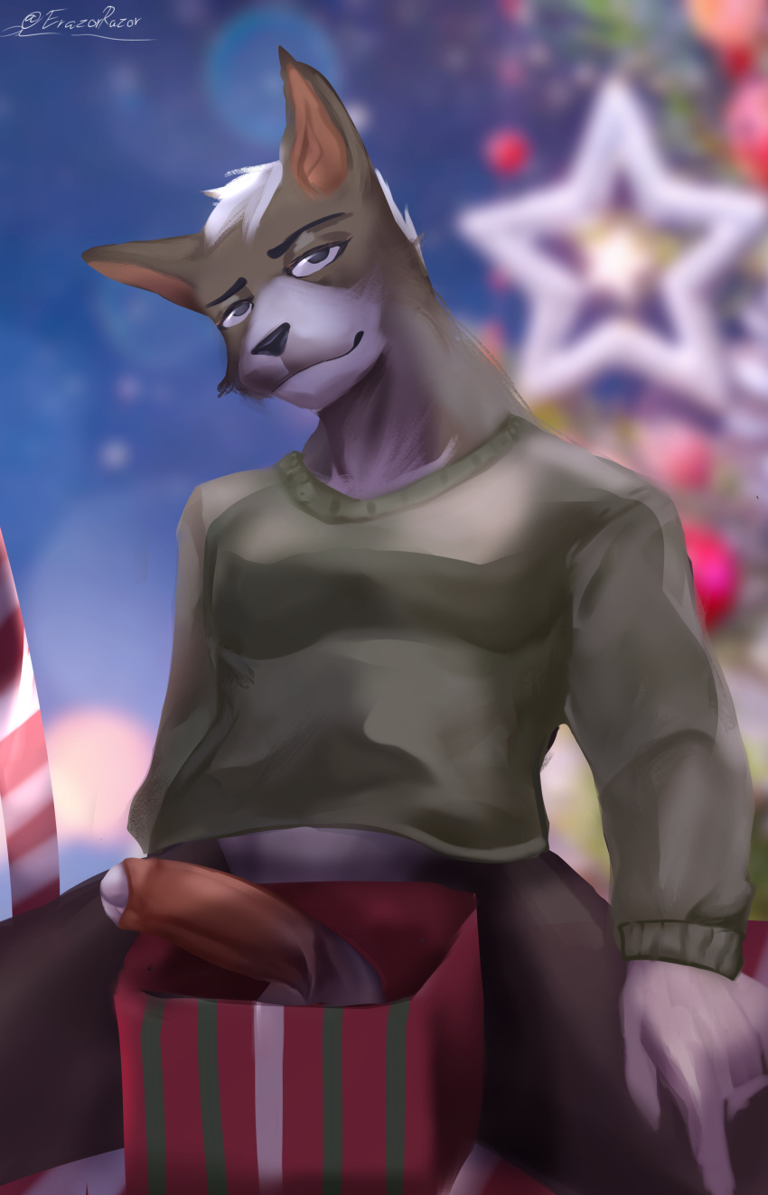 absurd_res anthro canid canine canis christmas clothed clothing dick_in_a_box erazorrazor fur genitals gift hair hi_res holidays humanoid_genitalia humanoid_penis looking_at_viewer male mammal penis smile solo sweater topwear