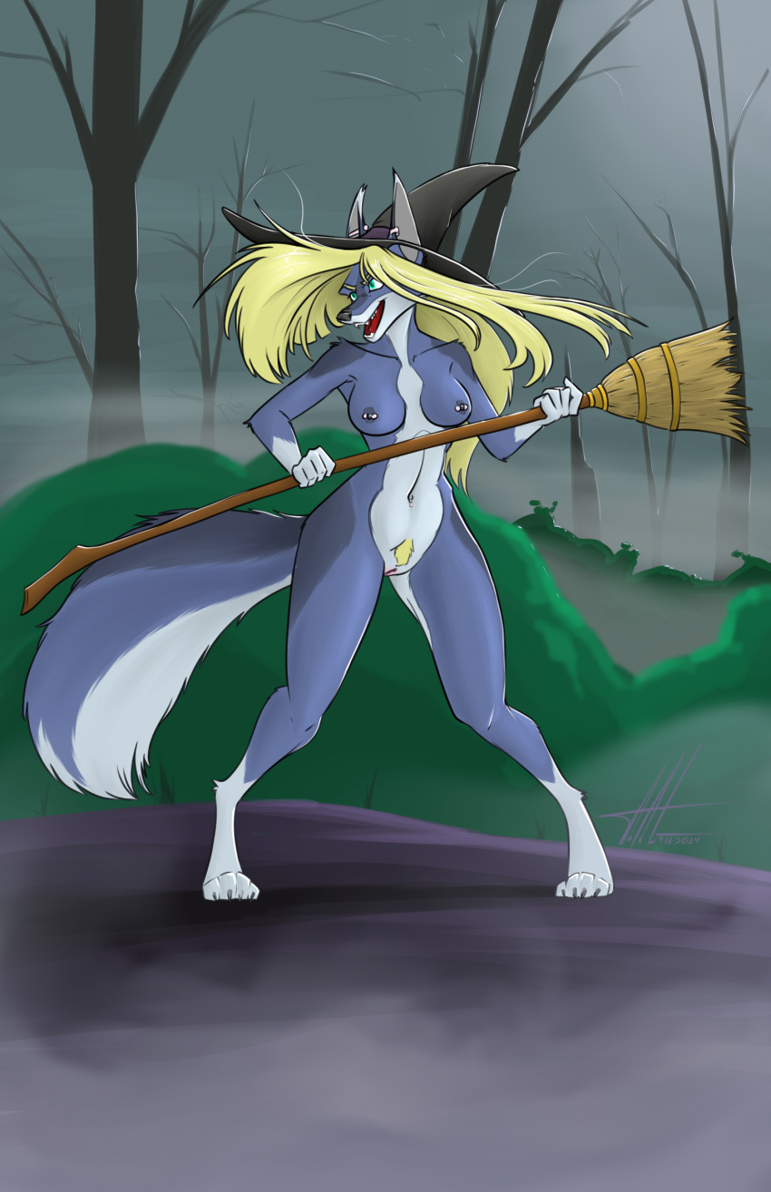 anthro blue_body blue_fur breasts broom canid canine canis charity_cross cleaning_tool clothing commandercross dipstick_ears ear_markings ear_piercing exposed_breasts female fur genitals green_eyes hat headgear headwear hi_res industrial_piercing mammal multicolored_ears navel navel_piercing nipple_piercing nipples nude nude_anthro nude_female piercing pubes pussy solo witch_costume witch_hat wolf