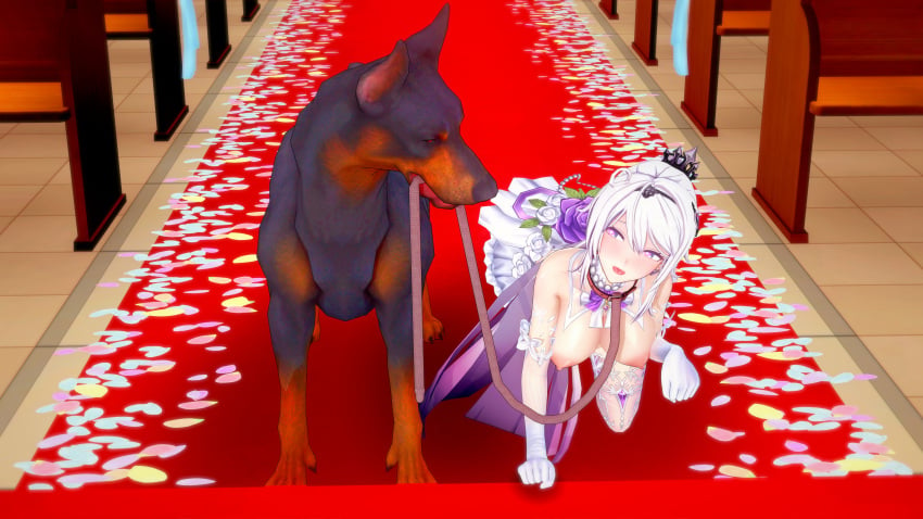 3d 3d_(artwork) all_fours animal_holding_leash bestiality_marriage canine collar dobermann dominant_feral feral_dominating_human feral_holding_leash honkai_impact_3 human_pet human_pet_feral_owner husband_and_wife in_love leash leash_and_collar love marriage married_to_feral submissive_human wedding wedding_dress white_hair zoophilia