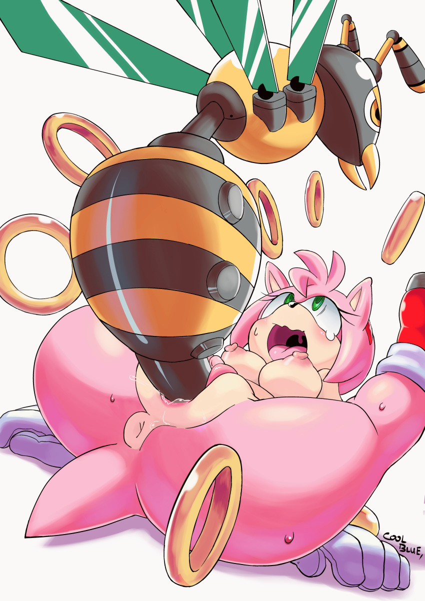 amy_rose bee coolblue furry hedgehog legs_over_head pink_fur pink_hair rape sonic_(series)