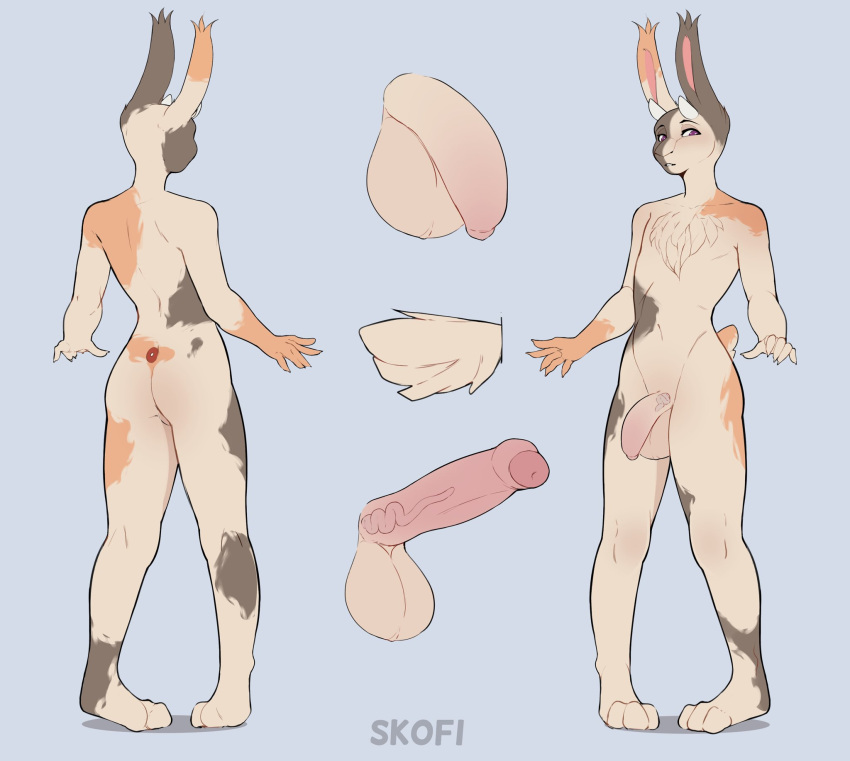 2d 3_toes anthro ass balls bec_the_rabbit blush body_blush brown_body brown_fur butt_blush chest_tuft claws cock dick digital_media_(artwork) feet front_view fur genitals girly hi_res humanoid_genitalia humanoid_penis lagomorph leporid long_ears male mammal model_sheet nsfw nude penis purple_eyes rabbit rear_view skofi_(artist) solo tan_body tan_fur toe_claws toes tuft white_body white_fur