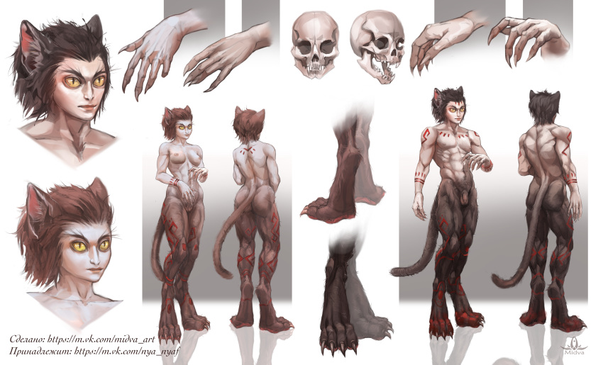 absurdres animal_ears black_hair brown_hair cat_ears cat_eye cat_tail feline_faun highres midva_art nude tail