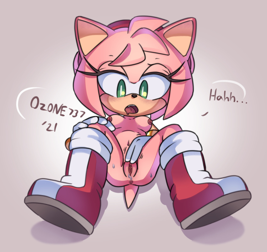Amy Rose (Sega) Rule 34 Image