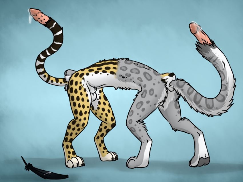 1boy aggrobadger animal_genitalia anthro balls bodily_fluids cheetah claws conjoined digital_media_(artwork) digitigrade duo feathers felid feline fur genital_fluids genitals grey_body grey_fur kauko_(andrewneo) king_cheetah male male_focus male_only mammal merging multi_balls multi_genitalia multi_penis multi_tail multicolored_body multicolored_fur nikoli pantherine pawpads penis penis_tail precum sheath snow_leopard solo spots spotted_body spotted_fur tail tail_genitals tail_penis tetraphallia toe_claws transformation two_tone_body two_tone_fur unusual_anatomy unusual_genitalia_placement unusual_penis_placement unusual_tail white_body white_fur yellow_body yellow_fur