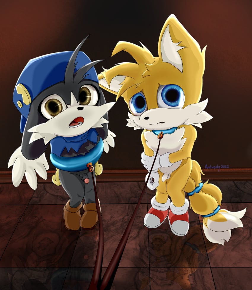 anitwenty bound bound_arms bound_tail collar cub furry klonoa klonoa_(series) leash leash_and_collar looking_at_viewer looking_up messy_hair petplay prostitution puppy_eyes restrained restrained_arms restraints small_penis sonic_(series) tails uncircumcised uncomfortable young