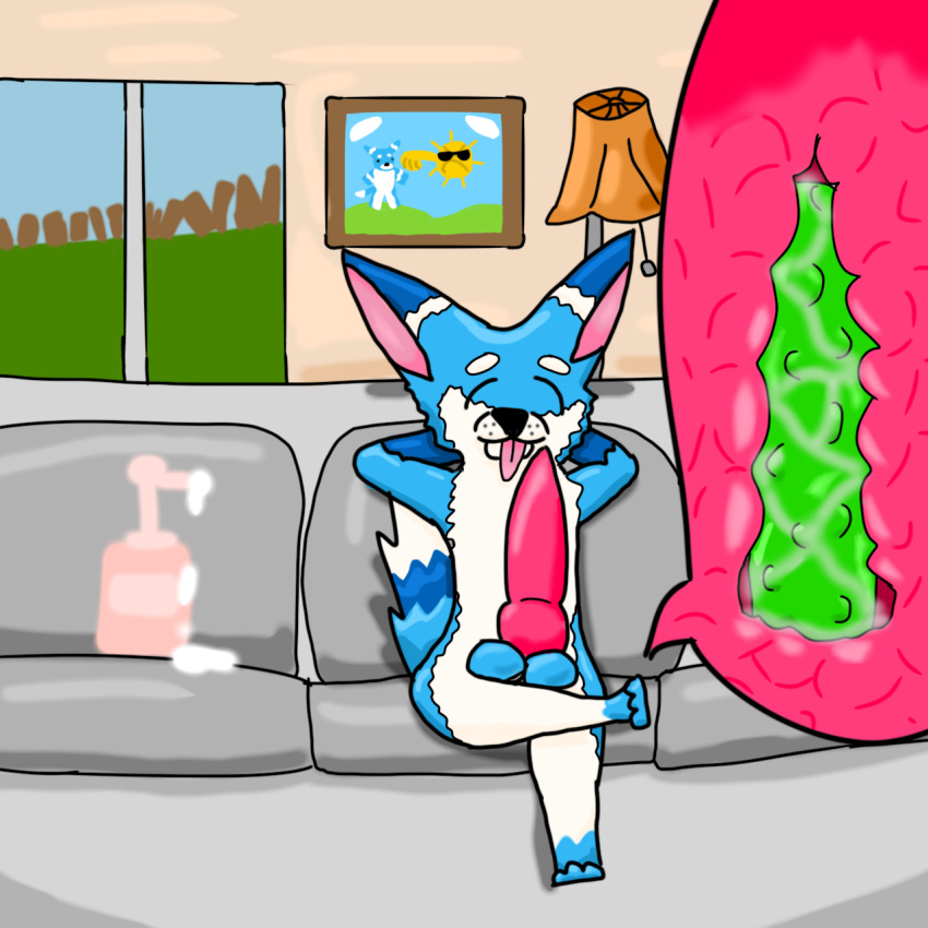 animal_genitalia animal_penis anthro big_dildo big_penis blue_body blue_fur canid canine canine_penis canis closed_eyes crossed_legs detailed_background dildo dildo_sitting domestic_dog fur furniture genitals hands_behind_back hi_res husky lube male mammal maxwolf(twitch) mister_redintong nordic_sled_dog penetration penis sex_toy sitting sofa solo spitz tongue tongue_out