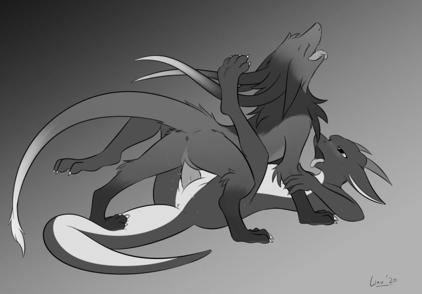 anthro anthro_on_feral anus black_and_white blush bodily_fluids claws closed_eyes dominant dominant_feral dragon duo feral feral_penetrated fur furred_dragon genitals giru giru_(artist) half-closed_eyes holding_leg horn kobold legs_up looking_at_another looking_at_partner looking_pleasured lying male male/male monochrome multicolored_body narrowed_eyes on_back penetration penile penile_penetration penis power_bottom quadruped raised_head saliva slit slit_penetration slit_play standing_on_tail sweat tongue tongue_out two_tone_body unknown_character zoophilia