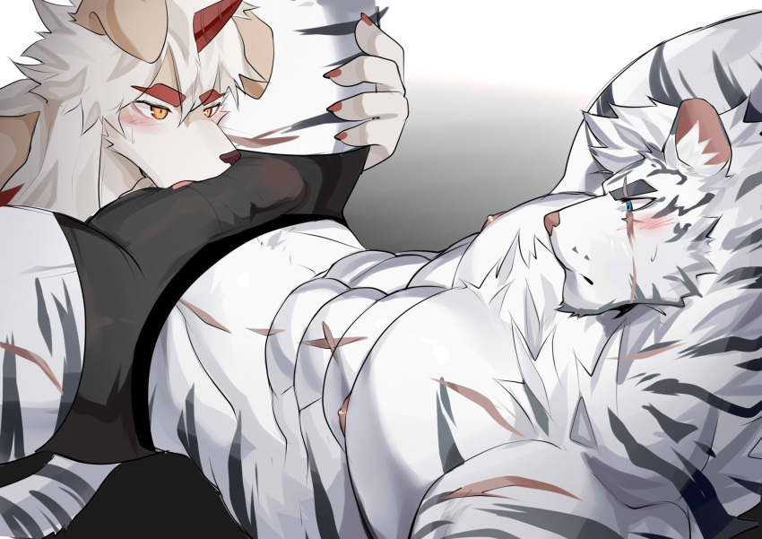 2boys abs animal_ears ao_(chung0u0) arknights bangs bara barazoku black_male_underwear blush brown_fur bulge dog_boy dog_ears erection erection_under_clothes eye_contact feet_out_of_frame fellatio furry furry_male gay highres horns hung_(arknights) large_pectorals licking licking_bulge licking_penis looking_at_another lying male_focus male_only male_underwear medium_hair mountain_(arknights) multicolored_hair multiple_boys muscular muscular_male navel nipples on_back oral orange_hair pectorals penis reward_available scar scar_across_eye scar_on_face scar_on_stomach short_hair single_horn solo_focus spread_legs stomach streaked_hair sweatdrop thick_eyebrows thick_thighs thighs tiger_boy tiger_ears topless_male two-tone_fur underwear underwear_only white_fur white_hair yaoi