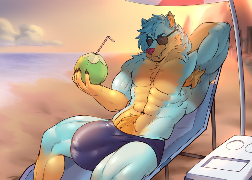 abs anthro balls_outline beach bulge canid canine canis clothing coconut cooler drupe_(fruit) eyewear food fox fruit genital_outline hi_res hybrid light male male_only male_solo mammal muscular muscular_male plant seaside solo straw sunglasses sunlight swimwear teslawolfen unknown_artist wolf