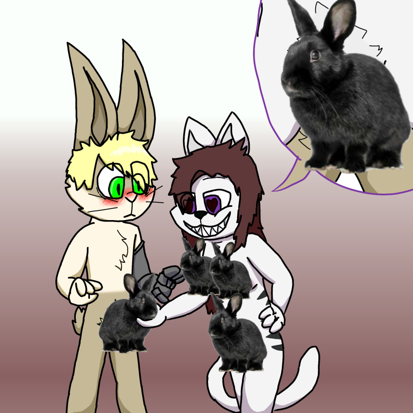 <3_eyes 2022 anthro blonde_hair blush brown_hair cat_tail censored chest_tuft darlan_bunnit(character) darli_buni domestic_cat domestic_rabbit duo dutch_rabbit felid feline felis female green_eyes hair hand_on_hip heart hi_res lagomorph leporid male male/female mammal markings mechanical_arm oryctolagus pubes purple_eyes rabbit scut_tail sharp_teeth short_tail smile speech_bubble striped_markings stripes teeth tuft whiskers