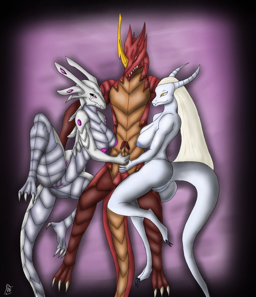 anthro bakugan breast drago drakkor mis'alia penis vagina wavern