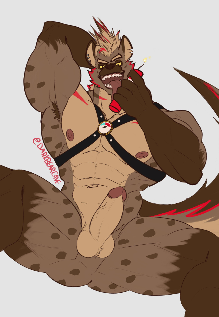 abs absurd_res another_eidos_of_dragon_vein_r anthro areola armpit_hair balls biceps body_hair brown_body darkbearcave dynamite ear_piercing erection explosives genitals hand_behind_head harness harness_only hi_res holding_object humanoid_genitalia humanoid_penis hyaenid licking lit_fuse male mammal muscular muscular_anthro muscular_male nipples nitro_(anothereidos_r) open_mouth pecs penis piercing solo solo_male spots spotted_body spotted_hyena tongue tongue_out yellow_sclera