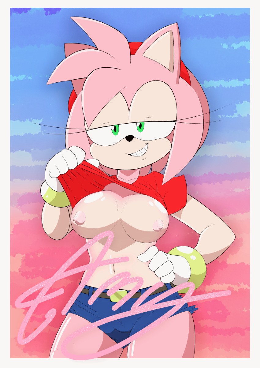 amy_rose clothing fullmetalsketch furry pink_fur pink_hair small_breasts sonic_(series)