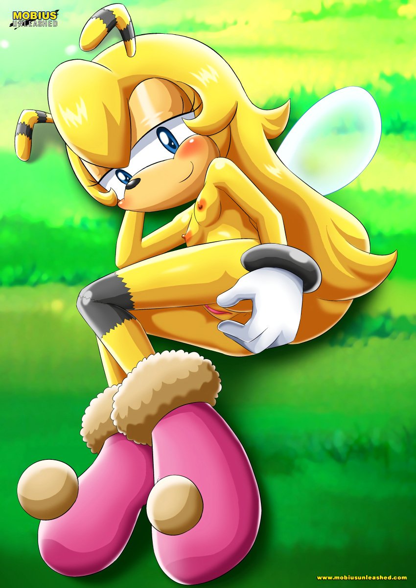 archie_comics bbmbbf furry mobius_unleashed palcomix saffron_bee sega sonic_(series)