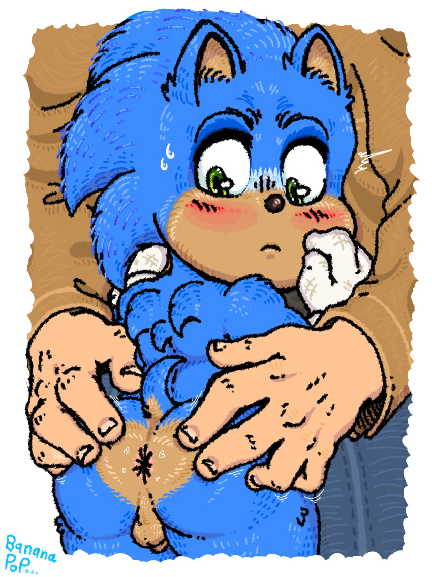 Sonic The Hedgehog (Sega) Rule 34 Image
