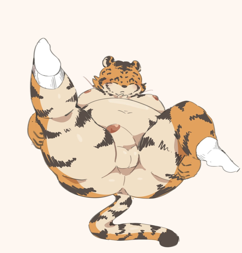 2022 anthro ass balls belly blush closed_eyes erection felid genitals haoming hi_res humanoid_genitalia humanoid_hands humanoid_penis kemono lying male mammal moobs nipples overweight overweight_male pantherine penis simple_background solo tiger