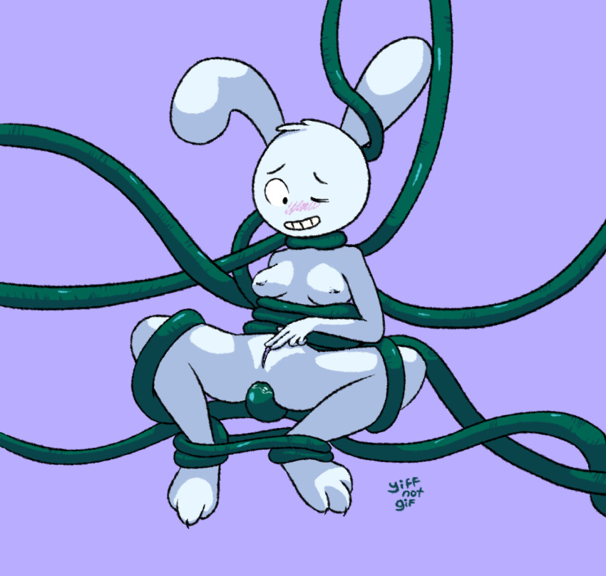 adventure_time anal anthro bondage bound breasts cartoon_network female genitals hi_res lagomorph legs_tied leporid mammal masturbation penetration pussy rabbit solo tentacle tentacle_penetration tentacle_sex y5 y5_(adventure_time) yiffnotgif