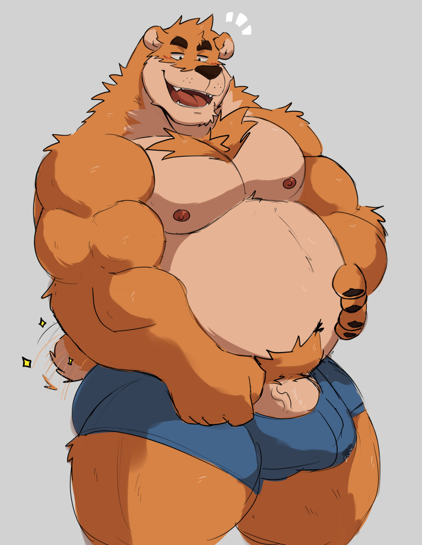 2022 absurd_res anthro belly brown_body brown_fur bulge clothing fur genitals hi_res humanoid_hands male male_only mammal moobs nipples overweight overweight_male penis simple_background solo tail_motion tailwag underwear ursid vitashi