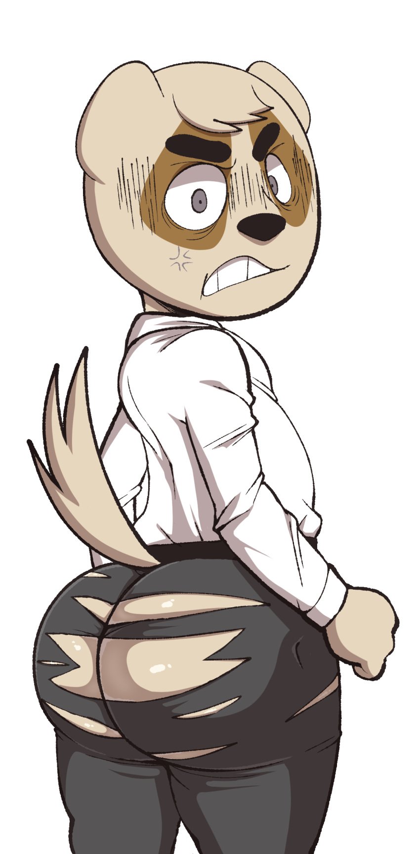 2021 absurd_res aggressive_retsuko anai_(aggretsuko) angry anthro ass badger big_butt black_nose bottomwear brown_body brown_fur butt_focus clenched_teeth clothing cross-popping_vein fist fur grey_bottomwear grey_clothing grey_eyes grey_pants hair hi_res huge_butt japanese_badger jerseydevil looking_at_viewer looking_back male mammal meles mustelid musteline pants polo_shirt raised_tail rear_view sanrio shirt simple_background smooth_fur solo tan_body tan_fur tan_hair teeth thick_thighs topwear torn_bottomwear torn_clothing torn_pants vein white_background