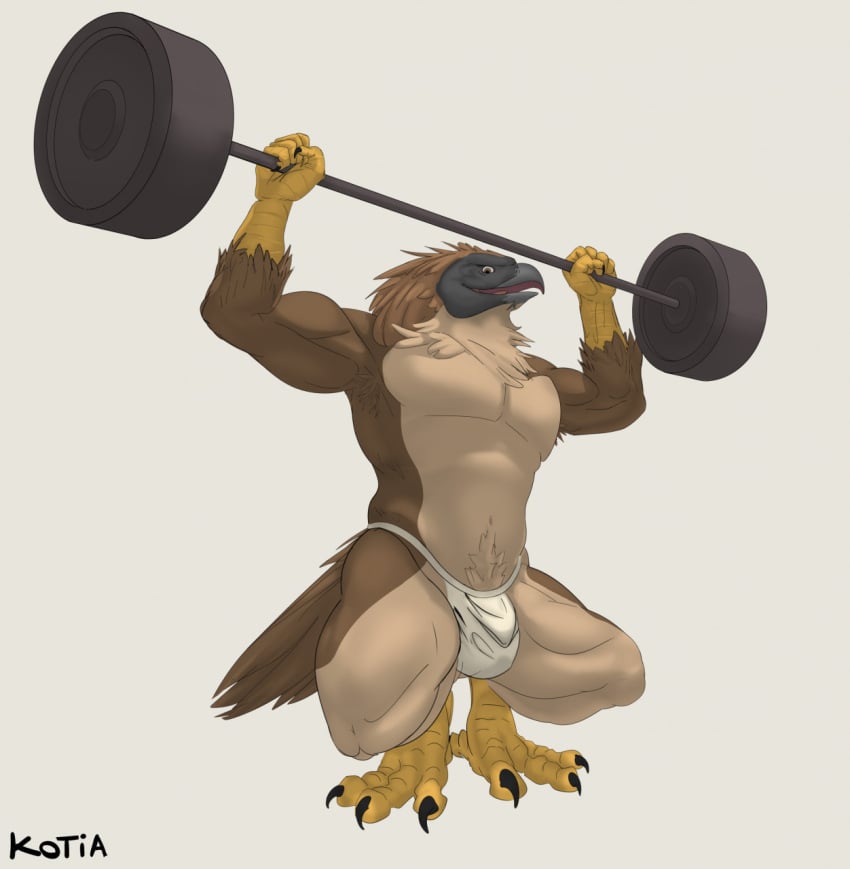 1boy abs accipitrid accipitriform anthro armpit_hair avian beak biceps bird body_hair bulge claws clothing crouching eagle exercise feathers hi_res jockstrap kotia looking_at_viewer male male_only muscular muscular_anthro muscular_male open_mouth pecs philippine_eagle pirate_eagle raised_arm raised_leg simple_background solo solo_male talon_hands talons underwear weightlifting weights workout