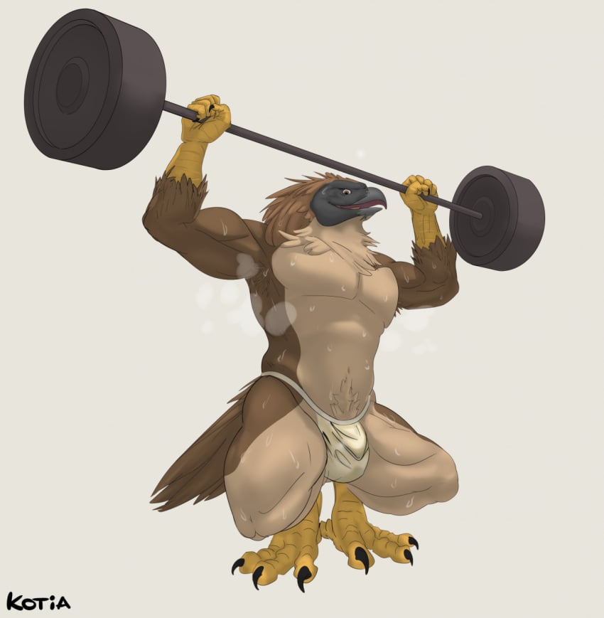 1boy abs accipitrid accipitriform anthro armpit_hair avian beak biceps bird bodily_fluids body_hair bulge claws clothing crouching dirty dirty_jockstrap eagle exercise feathers genitals hi_res jockstrap jockstrap_only kotia looking_at_viewer male male_only muscular muscular_anthro muscular_male open_mouth pecs philippine_eagle pirate_eagle raised_arm raised_leg simple_background solo solo_male steam sweat sweat_droplets sweatdrop sweaty_genitalia sweaty_legs sweaty_thighs talon_hands talons underwear weightlifting weights workout