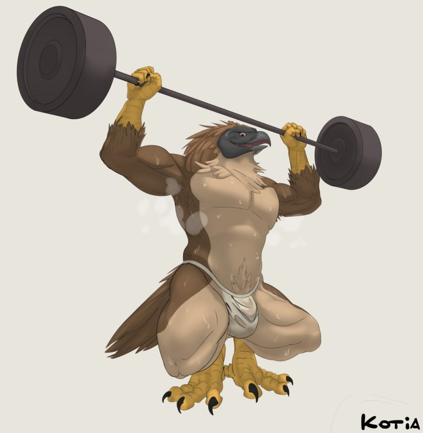 1boy abs accipitrid accipitriform anthro armpit_hair avian beak biceps bird bodily_fluids body_hair bulge claws clothing crouching eagle exercise feathers genitals hi_res jockstrap kotia looking_at_viewer male male_only muscular muscular_anthro muscular_male open_mouth pecs philippine_eagle pirate_eagle raised_arm raised_leg simple_background solo solo_male steam sweat sweat_droplets sweatdrop sweaty_chest sweaty_clothing sweaty_genitalia sweaty_legs sweaty_thighs talon_hands talons underwear weightlifting weights workout