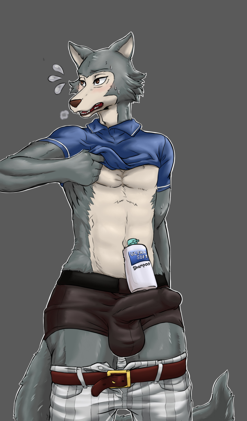 absurd_res anthro beastars belt blush bodily_fluids breath canid canine canis clothed clothing erection erection_under_clothing genitals hi_res humanoid_genitalia humanoid_penis legoshi_(beastars) male male_only mammal meme panting partially_clothed penis shampoo_challenge solo sweat theoraclefolf underwear wolf