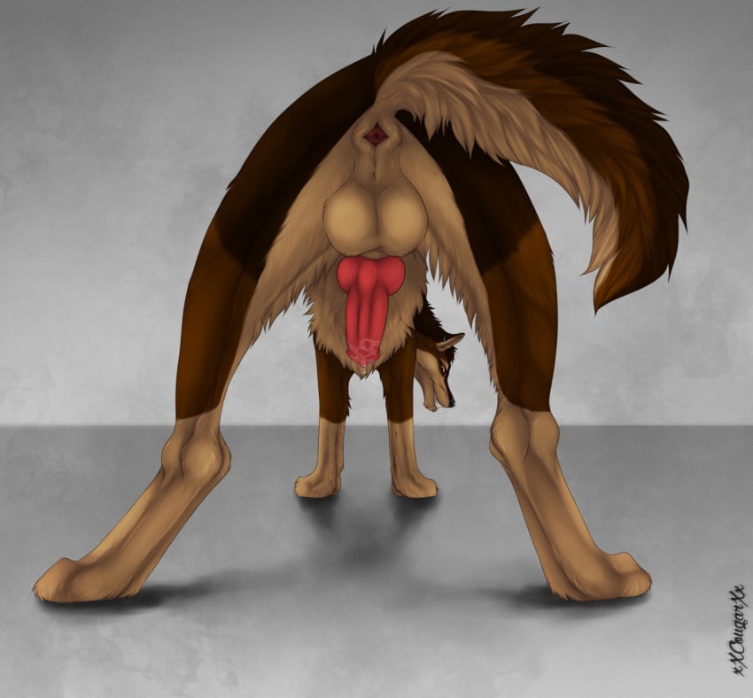 2017 amber_eyes animal_genitalia animal_penis anus ass balls big_balls black_sclera bodily_fluids brown_body brown_fur canid canine canine_penis canis cum digital_drawing_(artwork) digital_media_(artwork) digitigrade ear_piercing feral fur genital_fluids genitals karn_(karn_the_wolf) knot looking_at_viewer looking_back male mammal penis piercing precum presenting presenting_anus presenting_balls presenting_hindquarters raised_tail rear_view simple_background solo wolf xxcougarxx