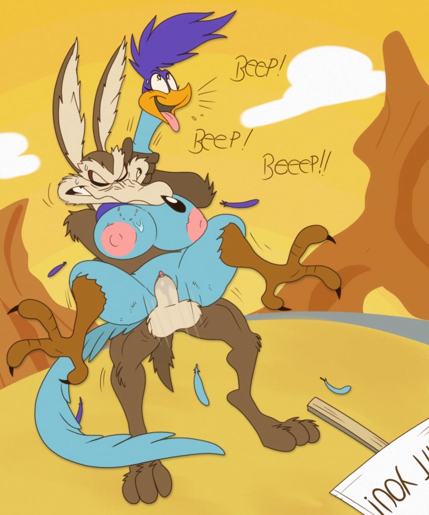 Road Runner (Looney Tunes) Rule 34 Image