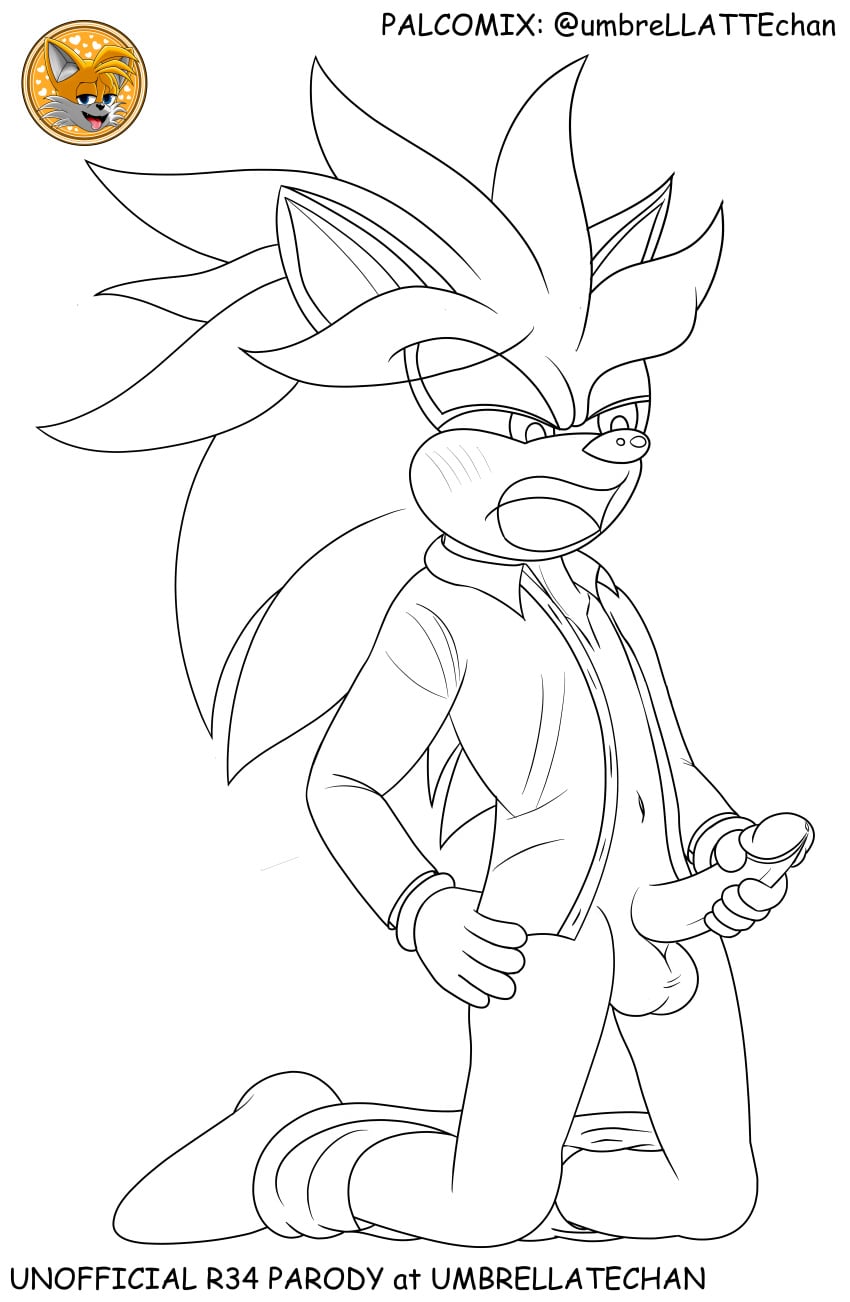Silver The Hedgehog (Sega) Rule 34 Image