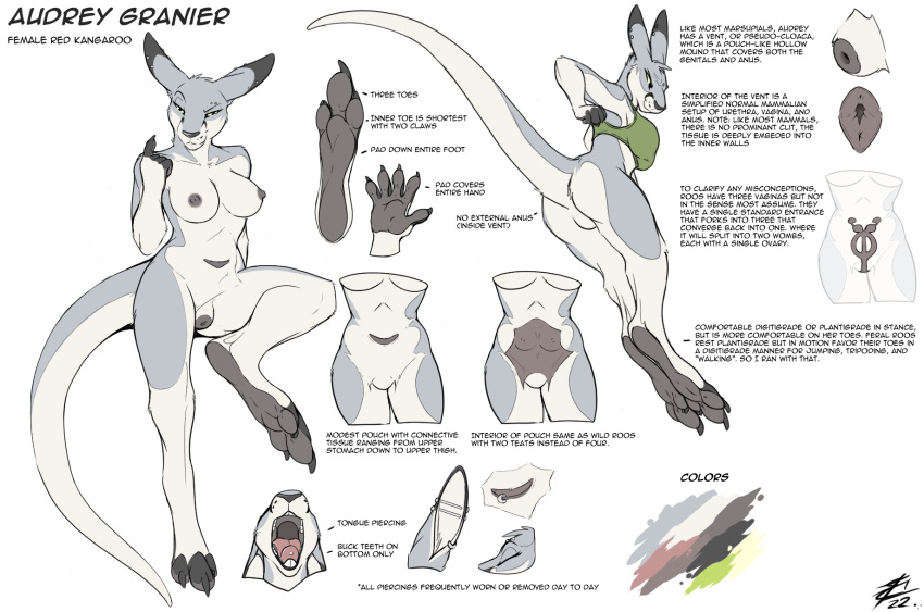 animal_genitalia anthro audrey_(lizet) breasts detailed ears_back feet female fur fur_markings genitals hi_res kangaroo lizet macropod mammal markings marsupial marsupial_pussy model_sheet open_mouth pawpads paws pivoted_ears pouch_(anatomy) pouch_teats raised_tail red_kangaroo solo teats teeth text tongue