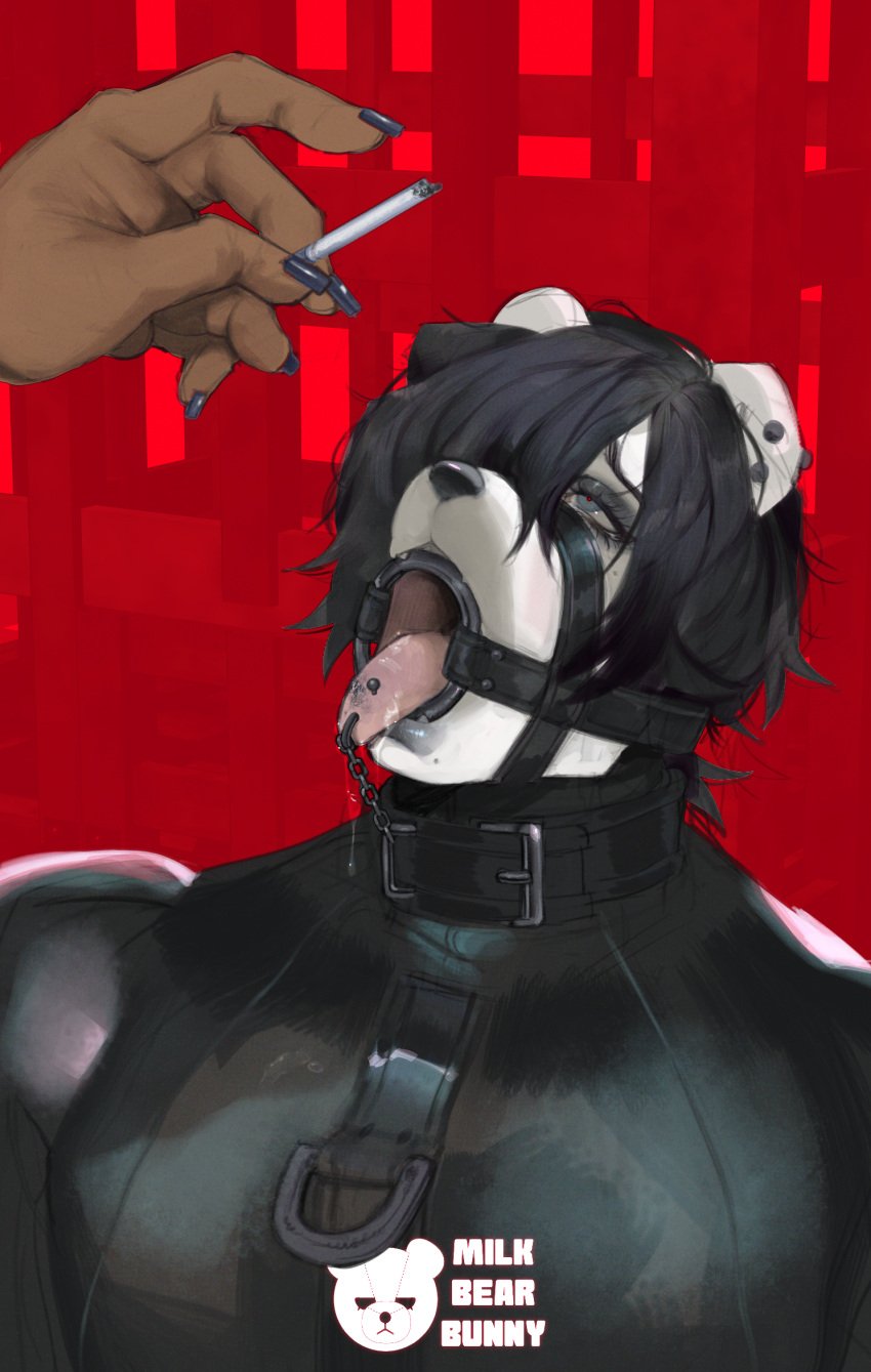 alternative_fashion ambiguous_gender anthro bear black_hair black_lipstick blue_eyes bondage bunny_(milkbearbunny) cigarette clothing collar disembodied_hand duo emo fur furry gag gagged hair hi_res holding_cigarette holding_object latex latex_clothing latex_skinsuit lips lipstick living_ashtray makeup male male/ambiguous mammal milkbearbunny muzzle_(object) muzzle_gag muzzled nails open_mouth piercing piercing_bondage red_background ring_gag ring_piercing simple_background skinsuit submissive submissive_anthro submissive_male thick_bottom_lip tight_clothing tongue tongue_out tongue_piercing tongue_ring white_body white_fur