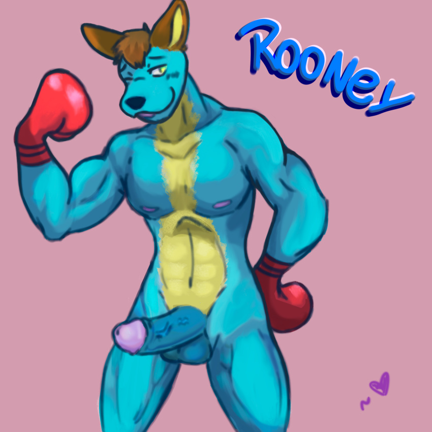 angry_furret animal_crossing anthro balls boxing_gloves clothing genitals handwear hi_res humanoid jock kangaroo macropod male mammal marsupial muscular muscular_anthro muscular_male nintendo penis rooney_(animal_crossing) solo vein veiny_penis video_games