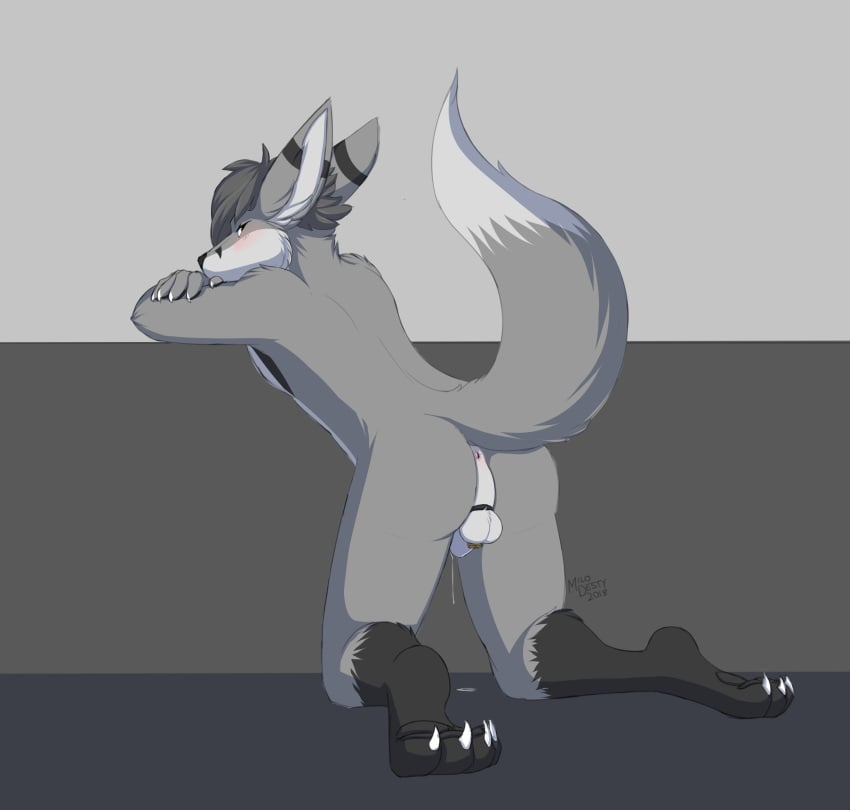 2018 4_toes 5_fingers abstract_background absurd_res anthro anus ass backsack balls biped black_feet blush bodily_fluids canid canine chastity_cage chastity_device claws crossed_arms dated digital_drawing_(artwork) digital_media_(artwork) dripping feet fennec fingers fox fur genital_fluids genitals grey_body grey_fur grey_hair hair hi_res kneeling kobaj leaning lock looking_at_viewer looking_back male mammal milodesty monotone_hair multicolored_body multicolored_fur nude penis precum precum_drip presenting presenting_hindquarters puddle raised_tail shy signature simple_background solo striped_ears toes white_body white_fur