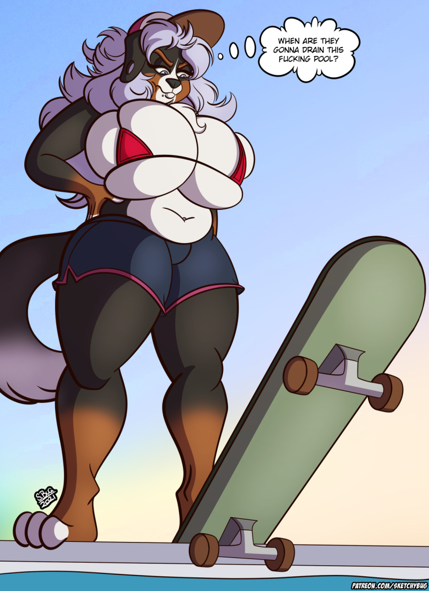 alyssa_(boosterpang) anthro bernese_mountain_dog bikini bottomwear canid canine canis clothing domestic_dog ear_piercing female gauged_ear grumpy hand_on_hip hat headgear headwear hi_res mammal mature_female micro_bikini molosser mountain_dog piercing pool_(disambiguation) shorts skateboard sketchybug solo swimwear swiss_mountain_dog thinking