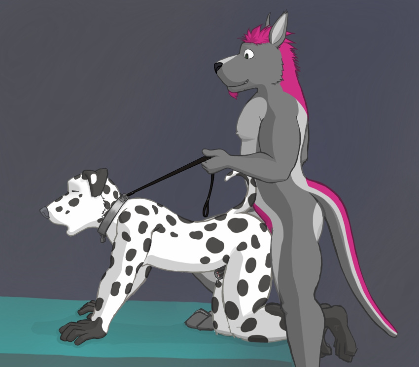 anal anal_sex anthro anthro_on_anthro anthro_penetrated anthro_penetrating anthro_penetrating_anthro bed black_body black_fur black_leash black_nose black_spots canid canine canis cel_shading chastity_cage chastity_device closed_eyes collar dalmatian digital_media_(artwork) doggy_style domestic_dog duo floppy_ears from_behind_position fur furniture gloves_(marking) grey_collar grin hair kangaroo leash leash_pull leg_markings lock looking_pleasured macropod male male/male male_penetrated male_penetrating male_penetrating_male mammal markings marsupial metal_collar nude on_bed penetration pink_body pink_fur pink_hair purple_hair raised_tail sex shaded short_hair sketch smile socks_(marking) spots spotted_body spotted_fur toohbic tuubi white_body white_fur white_spots