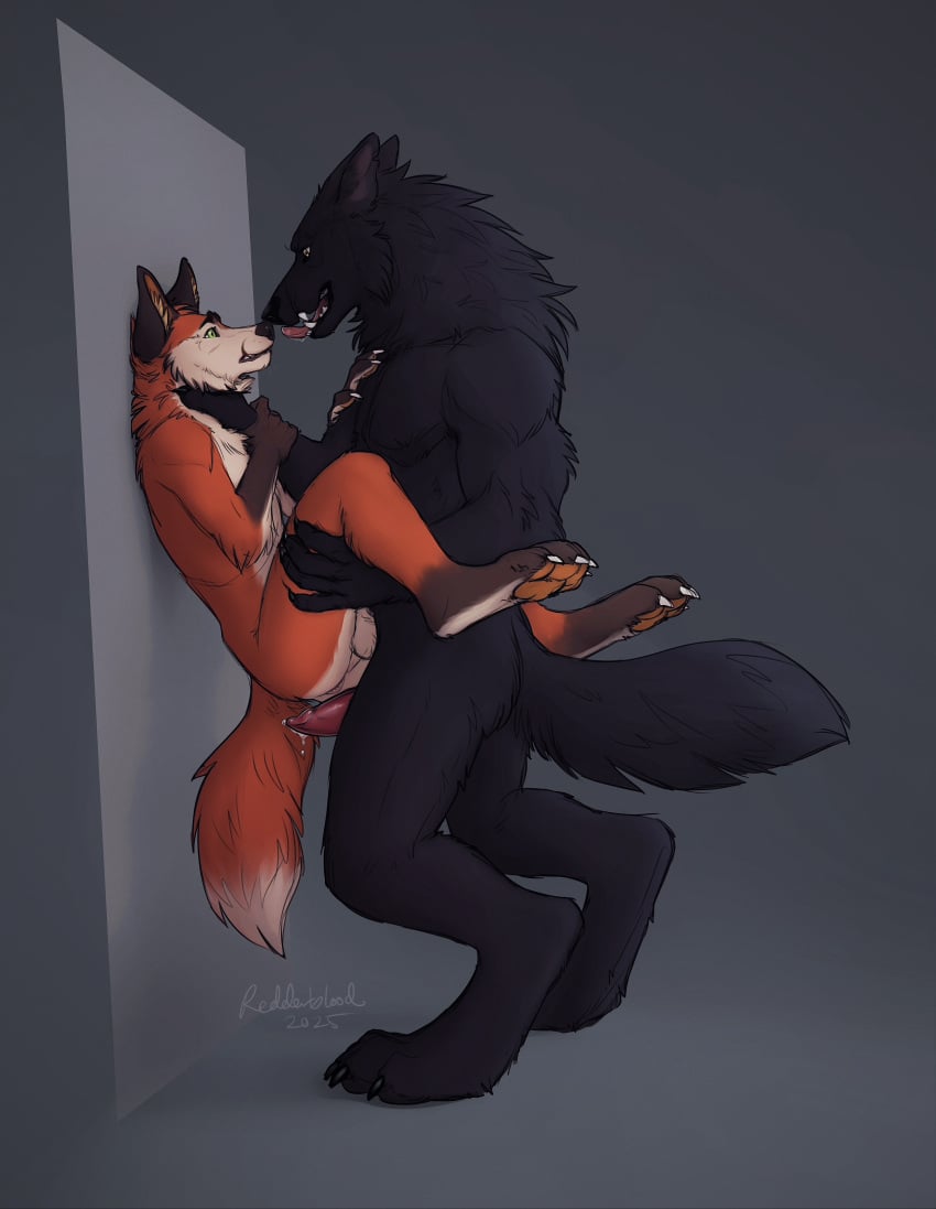 absurd_res against_surface against_wall anal animal_genitalia animal_penis anthro anticipation anus asphyxiation balls bodily_fluids canid canine canine_genitalia canine_penis choking claws digital_media_(artwork) drooling duo erection eye_contact forced fox genitals hi_res licking licking_lips licking_teeth lifted lifting_partner looking_at_another male male/male mammal mythological_canine mythological_creature mythology nude open_mouth penis rape_play redderblood resisting saliva scar scared sex size_difference smile standing standing_sex thorne_(redderblood) tongue tongue_out werecanid werecanine werecreature werewolf