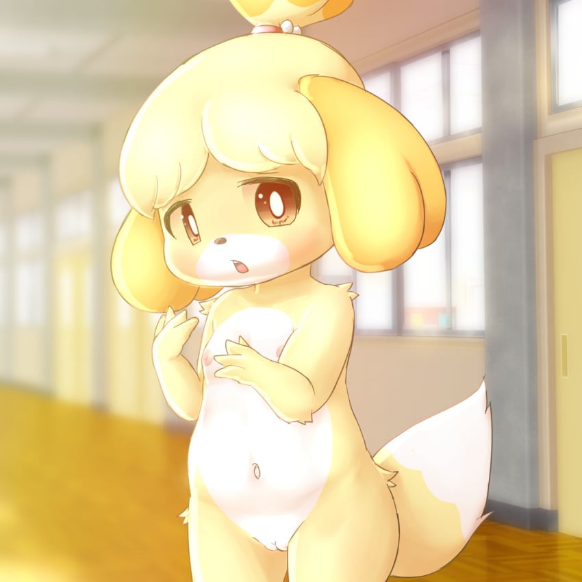 animal_crossing anthro blush breasts bunnag canid canine canis detailed_background domestic_dog female fur furry furry_only genitals hallway hi_res inside isabelle_(animal_crossing) looking_at_viewer mammal navel nintendo nipples nude open_mouth pussy shih_tzu small_breasts solo tail toy_dog video_games yellow_body yellow_fur