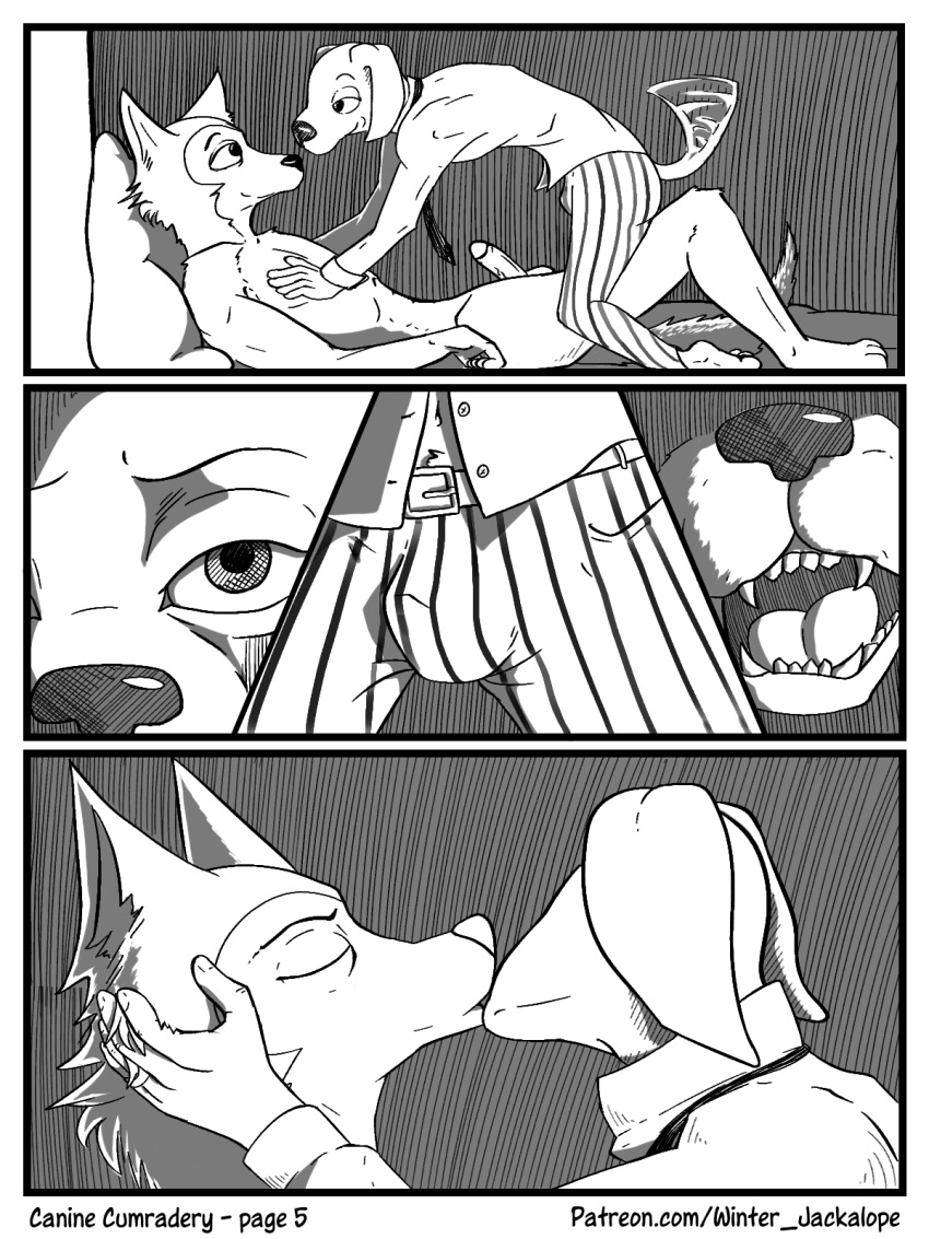 3:4 anthro balls beastars bed bird_dog bulge canid canine canis clothed clothing comic digital_media_(artwork) domestic_dog duo erection french_kissing fur furniture genitals hi_res humanoid_genitalia hunting_dog jack_(beastars) kissing labrador legoshi_(beastars) male male/male mammal monochrome necktie nude on_bed penis retriever simple_background smile tail_motion tailwag text topwear wintersink wolf