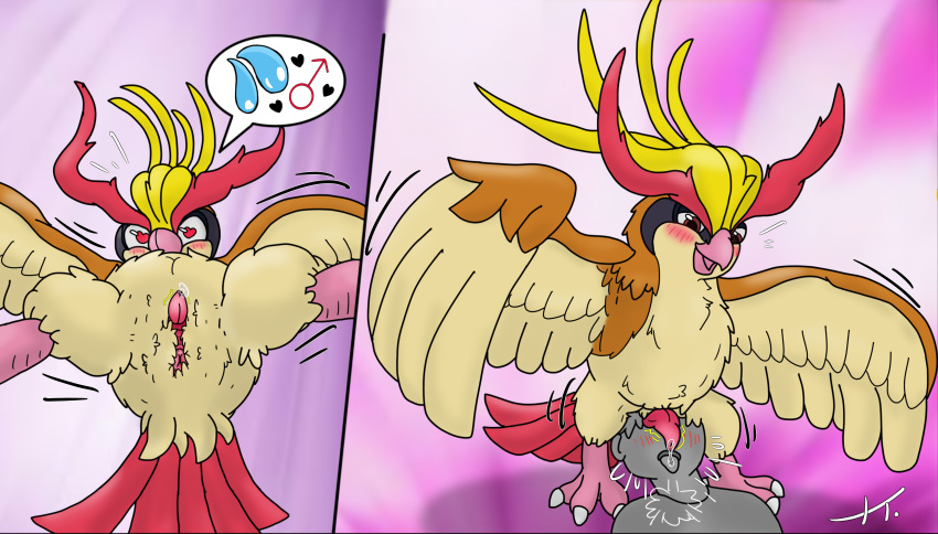 anon birdofanatic furry gay human nintendo pidgeot pokemon pokephilia presenting_hindquarters