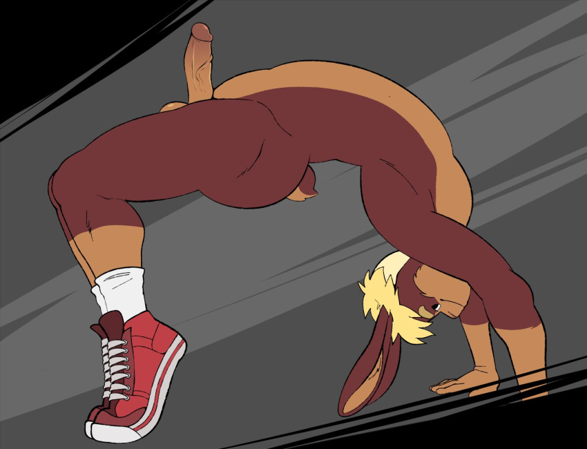 anthro ass balls blonde_hair brown_body brown_fur clothing erection eroborus flexible footwear footwear_only fur furry furry_only genitals hair humanoid_genitalia humanoid_penis lagomorph leporid male male_only mammal mostly_nude nude penis pose rabbit shoes shoes_only solo tail