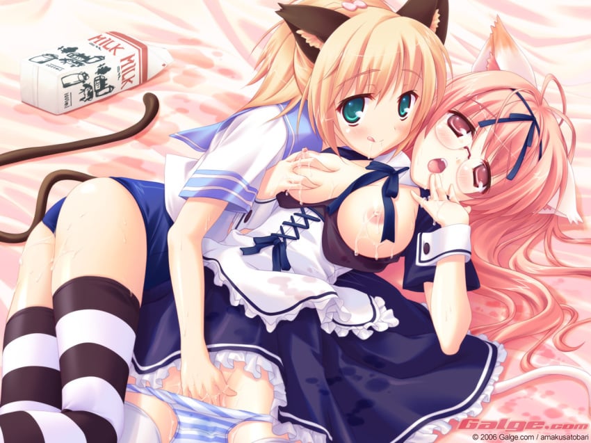 2girls ahoge amakusa_tobari amakusatobari animal_ears blonde_hair blush bow breasts cat_ears cuffs dress female fingering galge.com glasses green_eyes humanoid lactation long_hair maid milk multiple_girls nipples no_pants one-piece_swimsuit open_clothes open_shirt panties pink_hair ponytail puffy_nipples school_swimsuit school_uniform seifuku serafuku shirt striped striped_legwear striped_panties swimsuit swimsuit_under_clothes tail thighhighs tied_hair tongue underwear uniform wallpaper yuri