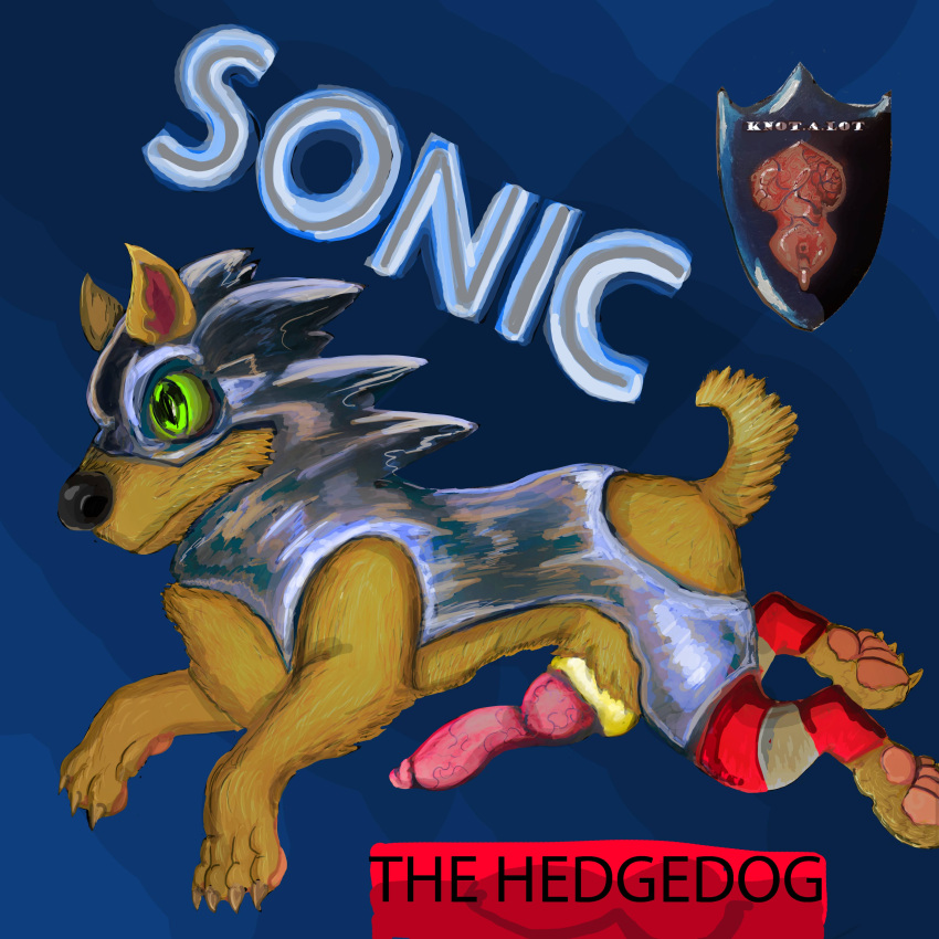 cock_ring feral golden_ring knot latex solo sonic_(series) sonic_the_hedgehog sonic_the_hedgehog_(series) transformed