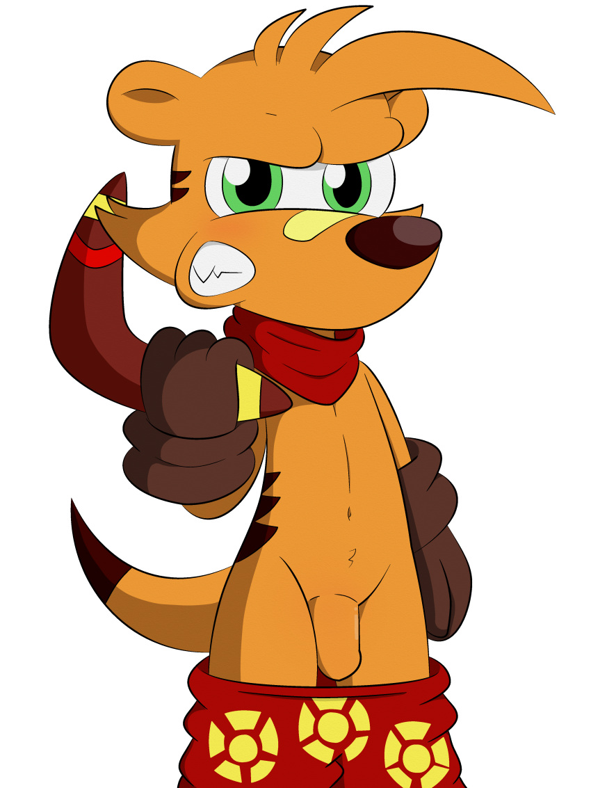 anthro boomerang brown_gloves dreameclipsewolf flaccid furry gloves green_eyes male male_only orange_fur pants_down solo tail transparent_background ty_the_tasmanian_tiger ty_the_tasmanian_tiger_(series)