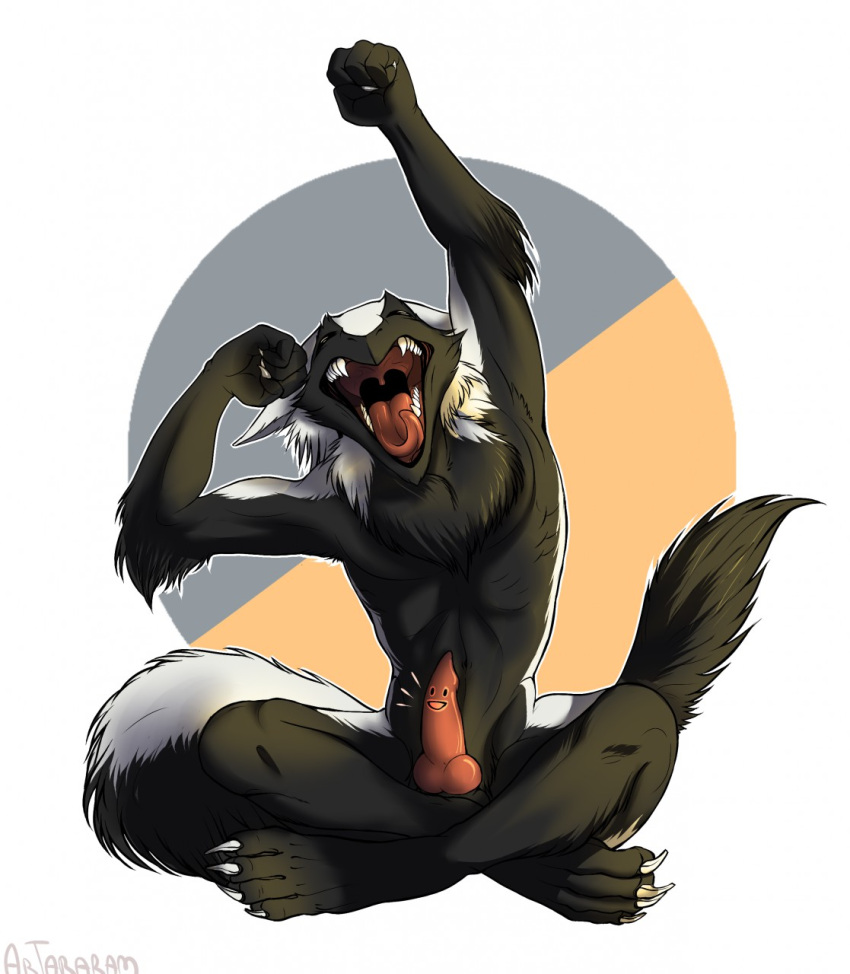 2016 anthro artararam black_body black_fur closed_eyes erection fur genitals hair hi_res male mammal morning_wood nude open_mouth penis sergal solo tongue tongue_out white_body white_fur